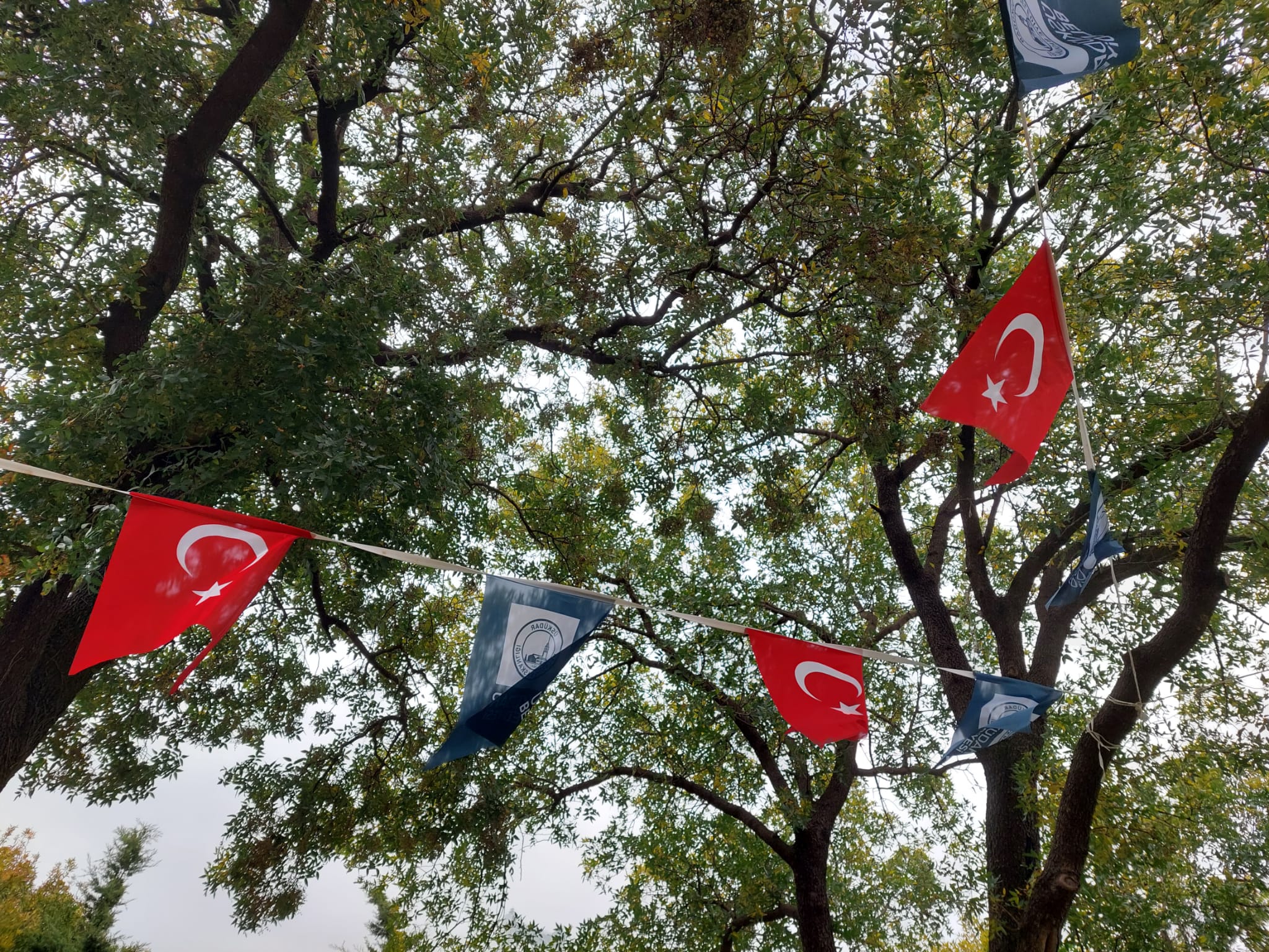 Tureckie słownictwo: Podróże